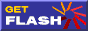 Download Flash 4 Plugin
